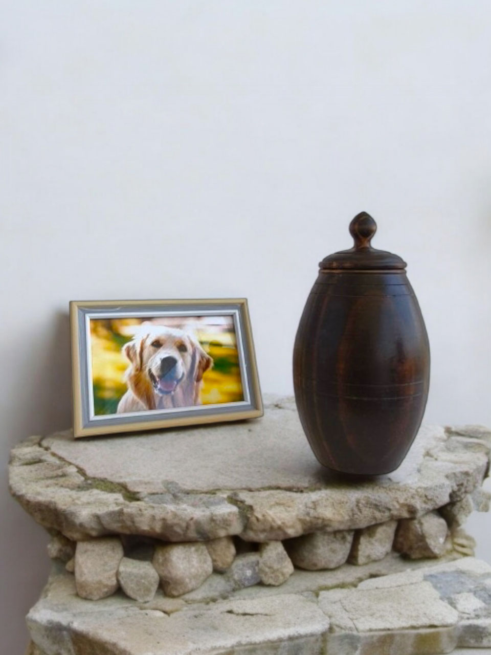 Urna para Perro Modelo Raíces Eternas