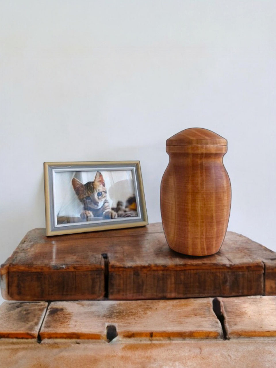 Ánfora Urna Para Gatos