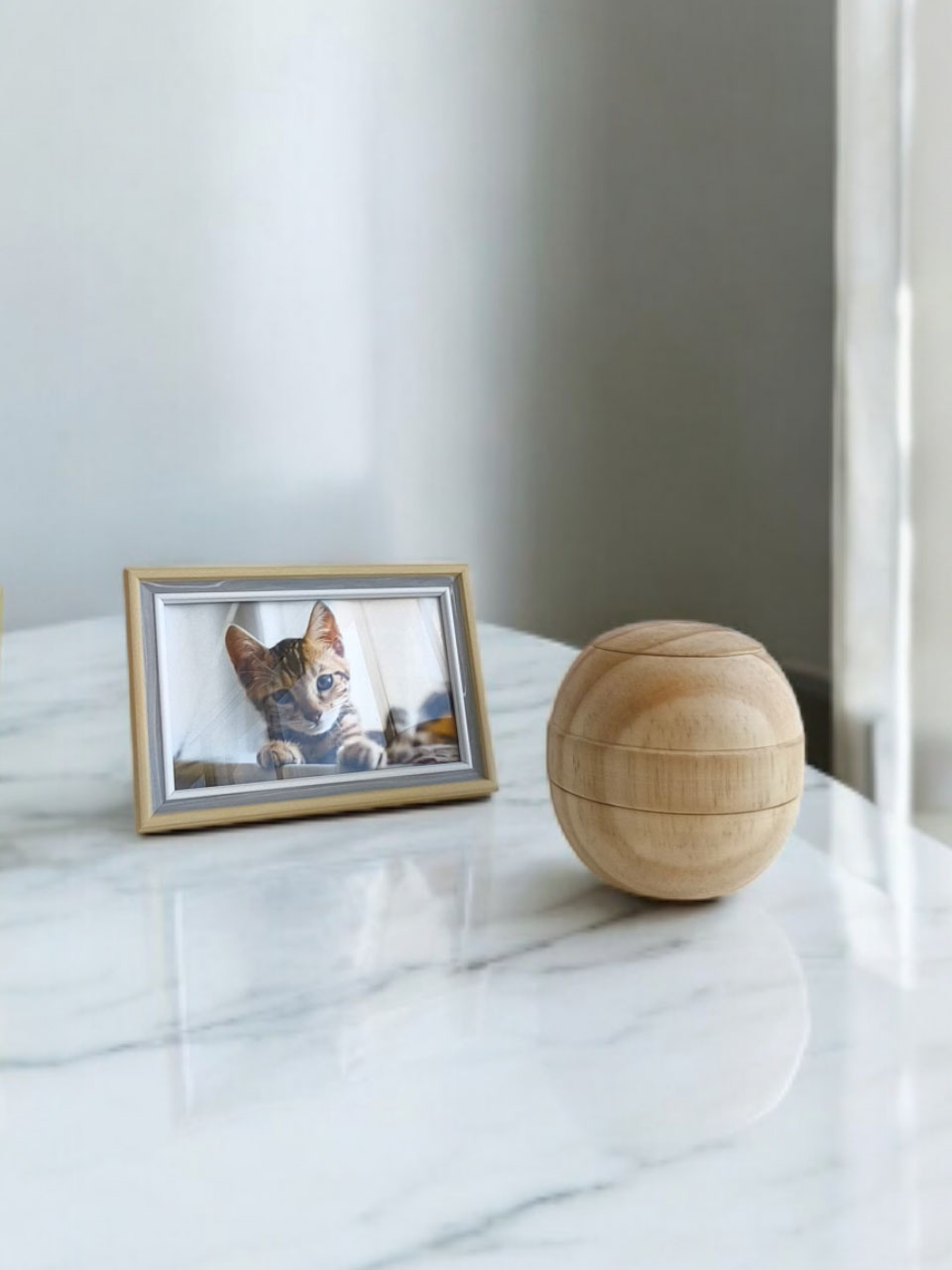 Ánfora para gato Modelo Terra